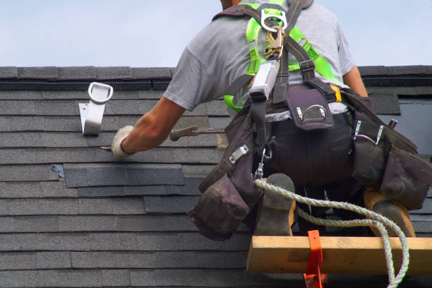 Best Roof Gutter Cleaning  in Nash, TX