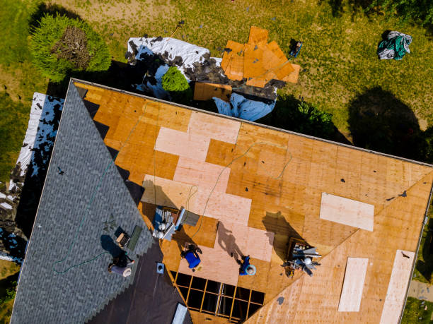 Best Roof Gutter Cleaning  in Nash, TX
